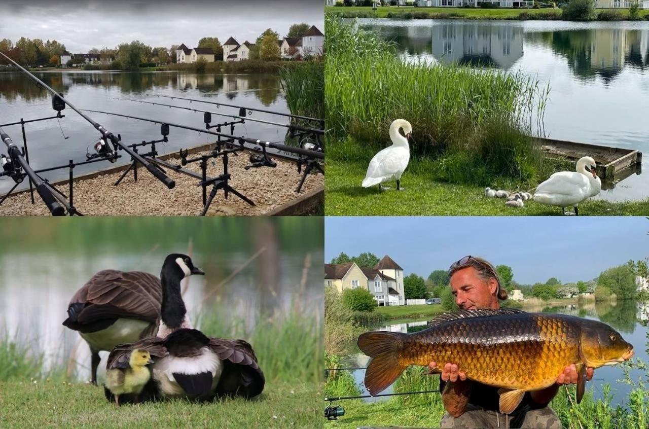 Windrush Lake 65, Sunset Lodge - P South Cerney Dış mekan fotoğraf